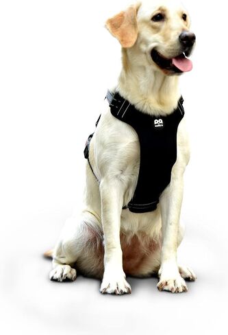 QQPETS No Pull Dog Harness: Reflective Adjustable Soft Padded Oxford Vest with Easy Control Handle for Puppy Small Medium Large Pet Outdoor Walking Training (X-Large, Black) in Saudi Arabia