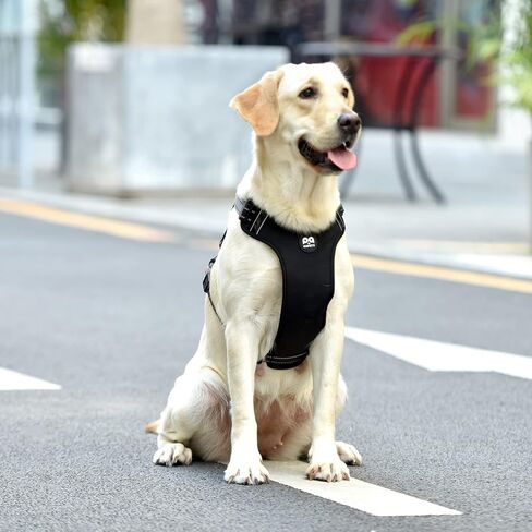 QQPETS No Pull Dog Harness: Reflective Adjustable Soft Padded Oxford Vest with Easy Control Handle for Puppy Small Medium Large Pet Outdoor Walking Training (X-Large, Black) in Saudi Arabia