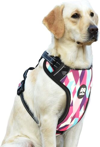 QQPETS No Pull Dog Harness: Reflective Adjustable Soft Padded Oxford Vest with Easy Control Handle for Puppy Small Medium Large Pet Outdoor Walking Training (X-Large, Black) in Kuwait