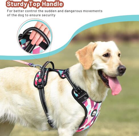 QQPETS No Pull Dog Harness: Reflective Adjustable Soft Padded Oxford Vest with Easy Control Handle for Puppy Small Medium Large Pet Outdoor Walking Training (X-Large, Black) in Kuwait