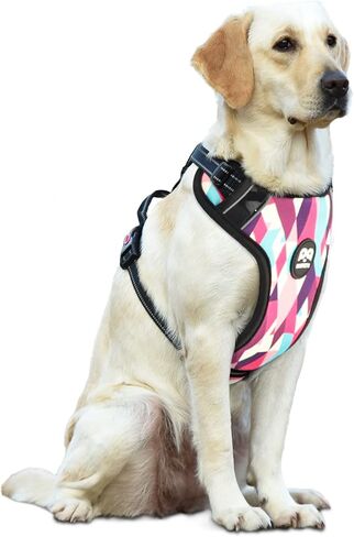 QQPETS No Pull Dog Harness: Reflective Adjustable Soft Padded Oxford Vest with Easy Control Handle for Puppy Small Medium Large Pet Outdoor Walking Training (X-Large, Black) in Kuwait