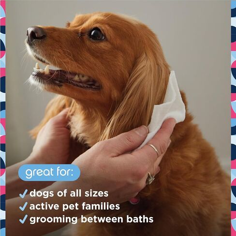 Pet Life Unlimited Pet Wipes for Dogs, Dog Cleaning Wipes - Plant-Based Dog Wipes with Moisturizing Aloe Leaf & Calendula - Made in The USA - Fragrance Free Dog Grooming Wipes - 72ct (Pack of 1) in Kuwait