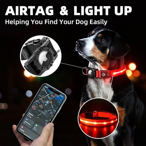 USB Rechargeable LED Dog Collar - Adjustable and Waterproof Light Up Pet Collar with airtag holder for Night Safety and Visibility, Blue in Kuwait