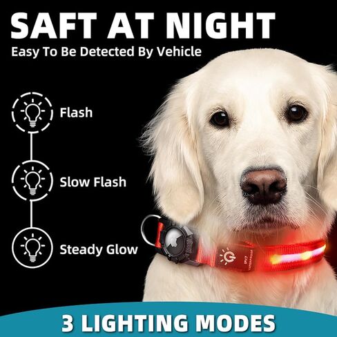 USB Rechargeable LED Dog Collar - Adjustable and Waterproof Light Up Pet Collar with airtag holder for Night Safety and Visibility, Blue in Kuwait