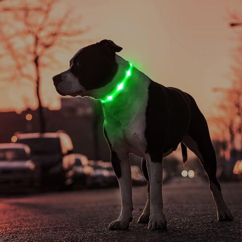 USB Rechargeable LED Dog Collar - Adjustable and Waterproof Light Up Pet Collar with airtag holder for Night Safety and Visibility, Blue in Kuwait