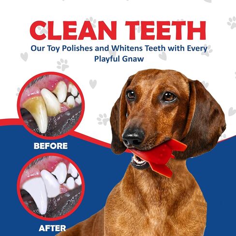 Ace's Creations Red Rocket Indestructible Chew Toy for Dogs - Interactive, Heavy-Duty Nylon for Aggressive Chewers,Long-Lasting,Chew Proof,Healthy Chewing,for Small and Medium Size Breeds,2 Pck in Saudi Arabia