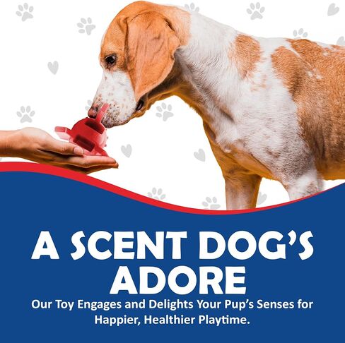Ace's Creations Red Rocket Indestructible Chew Toy for Dogs - Interactive, Heavy-Duty Nylon for Aggressive Chewers,Long-Lasting,Chew Proof,Healthy Chewing,for Small and Medium Size Breeds,2 Pck in Saudi Arabia