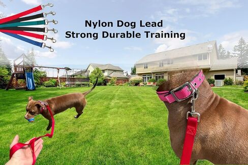 6 Pack Dog Lead, Hamilton, 3/4'' X 48'', (02 Black / 01 Navy Blue/ 02 Dark RED / 01 Dark Green) in Saudi Arabia