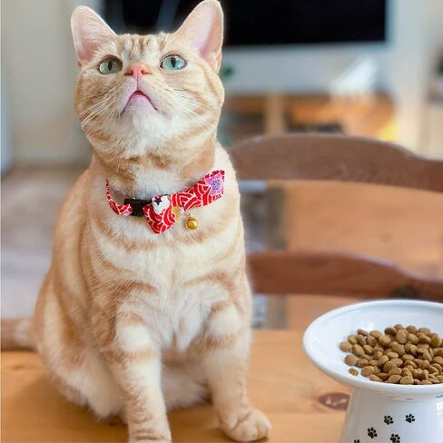 Matsuri Bow Tie Cat Collar (Black) with bell safety breakaway soft lightweight for cats kitty kitten Japanese stylish pattern, No.1 Seller in Japan in Saudi Arabia