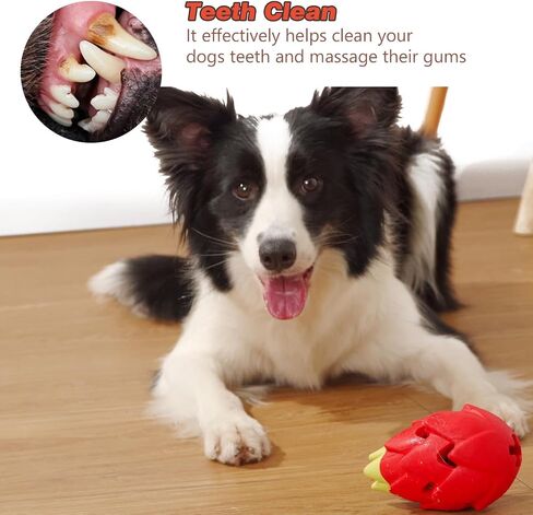 Squeaky Dog Chew Toy for Aggressive Chewers, Durable Rubber Dragon Fruit Chew Toy, Teeth Cleaning Toy for Large Medium Small Dogs, Pet Anxiety Relief in Saudi Arabia