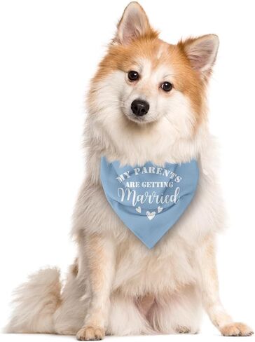 Dark Blue Dog Bandana, My Parents are Getting Married Wedding Announcement Dog Bandana, Pet Dog Triangle Scarf, Pet Dog Scarf Accessories, Dog Bandana for Small Medium Large Dogs (D57) in Saudi Arabia
