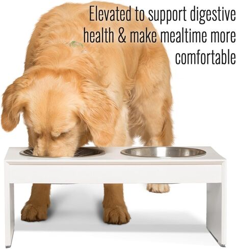 وحدة تغذية الكلاب المصنوعة من الخيزران المرتفع من PetFusion (جديدة) مزودة بختم مقاوم للماء. (ارتفاع 8 بوصات للكلاب المتوسطة والكبيرة). 2 وعاء من الفولاذ المقاوم للصدأ بدرجة الغذاء الأمريكية سعة 56 أونصة in Kuwait