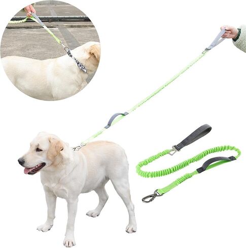 Dog Leash with Comfortable Padded Handle,Heavy Duty Dog Leash Bungee,No Pull Dog Leash for Shock Absorption for Small Medium Large Dogs - 2 Padded Handles,2 in 1 Dog Car Seatbelt (Green) in Saudi Arabia