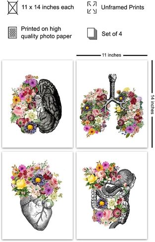 Original Flower Organs Wall Art Print Poster Set - Unique Steampunk Anatomy Home Decor for Dr Office - Gift for Doctor, Physician, Nurse, PA - 8x10 Unframed Photos - Heart, Lungs, Brain, Intestines in Saudi Arabia