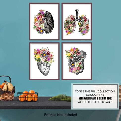 Original Flower Organs Wall Art Print Poster Set - Unique Steampunk Anatomy Home Decor for Dr Office - Gift for Doctor, Physician, Nurse, PA - 8x10 Unframed Photos - Heart, Lungs, Brain, Intestines in Saudi Arabia