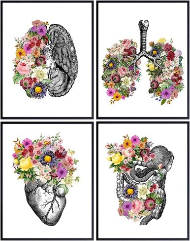 Original Flower Organs Wall Art Print Poster Set - Unique Steampunk Anatomy Home Decor for Dr Office - Gift for Doctor, Physician, Nurse, PA - 8x10 Unframed Photos - Heart, Lungs, Brain, Intestines in Saudi Arabia