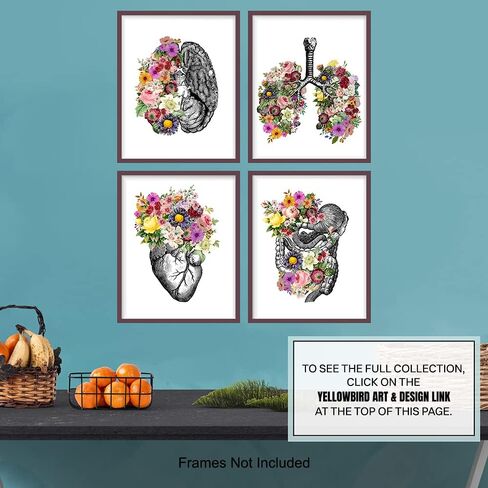 Original Flower Organs Wall Art Print Poster Set - Unique Steampunk Anatomy Home Decor for Dr Office - Gift for Doctor, Physician, Nurse, PA - 8x10 Unframed Photos - Heart, Lungs, Brain, Intestines in Saudi Arabia