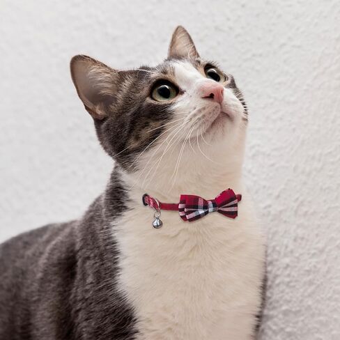 Andiker Cat Collar with Bell, 2PCS Footprint & Reflective Cat Collar with Bell and Breakaway Safety Buckle, 8-13 Inch Adjustable1 Nylon Collar Perfect for Cats in Random Color (Checkered Pattern) in Kuwait