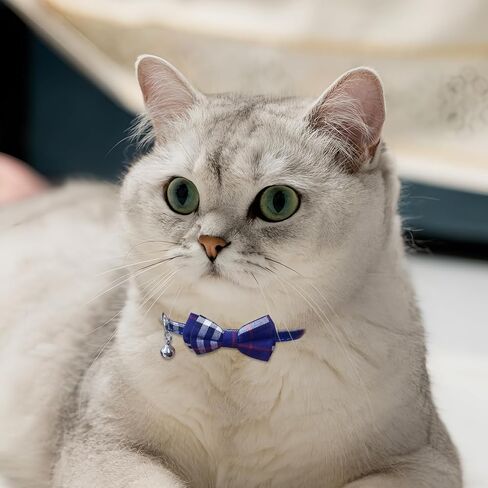 Andiker Cat Collar with Bell, 2PCS Footprint & Reflective Cat Collar with Bell and Breakaway Safety Buckle, 8-13 Inch Adjustable1 Nylon Collar Perfect for Cats in Random Color (Checkered Pattern) in Kuwait