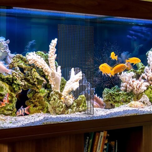 Okllen 12 قطعة حوض السمك مقسم قفص البيض البلاستيكي، عزل شبكة صينية سفلية، صينية مقسم شبكة قفص البيض البلاستيكية لتربية مختلطة الضوء، أسود in Kuwait