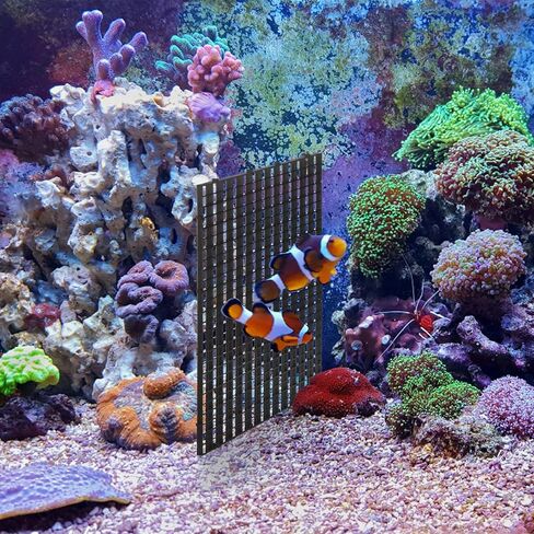 Okllen 12 قطعة حوض السمك مقسم قفص البيض البلاستيكي، عزل شبكة صينية سفلية، صينية مقسم شبكة قفص البيض البلاستيكية لتربية مختلطة الضوء، أسود in Kuwait