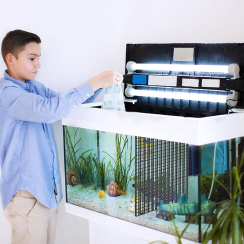 Okllen 12 قطعة حوض السمك مقسم قفص البيض البلاستيكي، عزل شبكة صينية سفلية، صينية مقسم شبكة قفص البيض البلاستيكية لتربية مختلطة الضوء، أسود in Kuwait