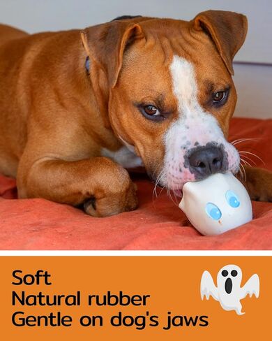 مجموعة بيض الهالوين من لانكو - ألعاب الكلاب المطاطية الناعمة التي تصدر صوت صرير - صغيرة - متوسطة - كلاب كبيرة - بطول 2.5 سم - تتوافق مع نفس معايير السلامة مثل ألعاب الأطفال (الشبح) in Kuwait