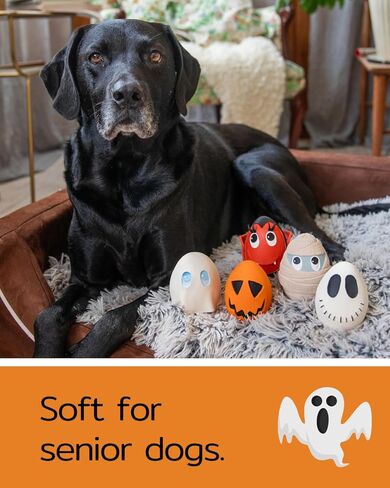 مجموعة بيض الهالوين من لانكو - ألعاب الكلاب المطاطية الناعمة التي تصدر صوت صرير - صغيرة - متوسطة - كلاب كبيرة - بطول 2.5 سم - تتوافق مع نفس معايير السلامة مثل ألعاب الأطفال (الشبح) in Kuwait