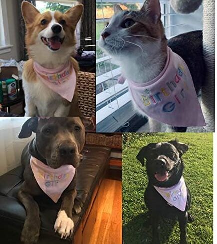 Embroidered Cute Dog Pet Cat Birthday Bandana for Girl Cats Female Dogs, 100% Cotton, Pink in Kuwait