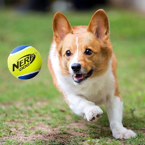 ألعاب كرة تنس للكلاب من نيرف دوج مع مصدر صرير تفاعلي، خفيفة الوزن ومتينة ومقاومة للماء، 3 بوصات، للسلالات الصغيرة والمتوسطة، عبوتين، ألوان مختلطة in Kuwait