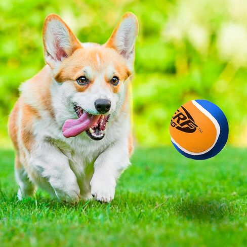 ألعاب كرة تنس للكلاب من نيرف دوج مع مصدر صرير تفاعلي، خفيفة الوزن ومتينة ومقاومة للماء، 3 بوصات، للسلالات الصغيرة والمتوسطة، عبوتين، ألوان مختلطة in Kuwait