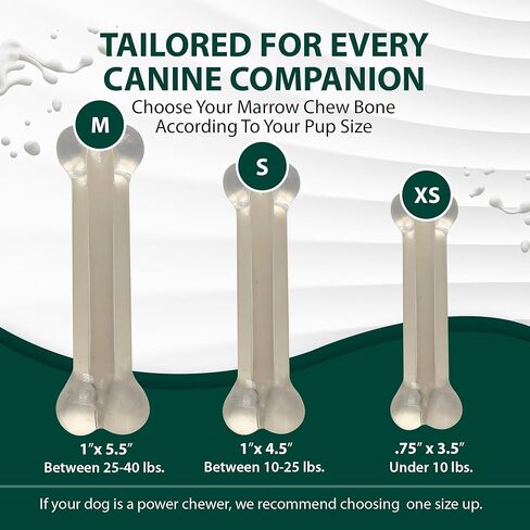 Sporn Marrow Milkies Chew Bones for Light Chewers, Milk Flavor Dog Chew Toys for Medium Dogs, Made with Soft Thermoplastic Rubber Dog Dental Chew Toy, Gluten-Free & Non-Toxic, Medium in Kuwait