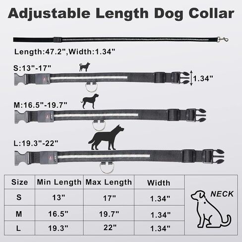 LED Light Up Dog Collars USB Rechargeable - IPX7 Waterproof led Dog Collar - 1,000 Feet of Visibility Brightest for Pet Night Walking,in 9 Colors Adjustable & 3 Sizes (Leash-XL) (Leash) in Saudi Arabia