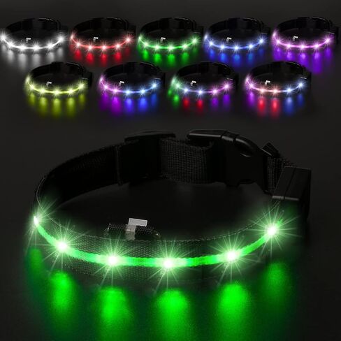 LED Light Up Dog Collars USB Rechargeable - IPX7 Waterproof led Dog Collar - 1,000 Feet of Visibility Brightest for Pet Night Walking,in 9 Colors Adjustable & 3 Sizes (Leash-XL) (Leash) in Saudi Arabia