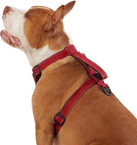 KONG Max Ultra Durable Neoprene Padded Chest Plate Dog Harness offered by The Barker Company (Red, XL) in Saudi Arabia