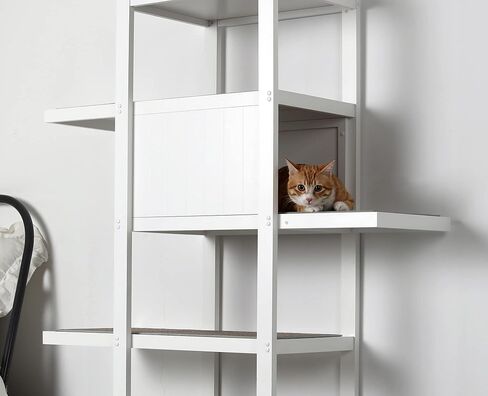 رف الكتب شجرة القط in Kuwait