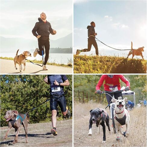 Hands Free Dog Leash with Waterproof Zipper Pouch for Running Walking Jogging Training Hiking Retractable Bungee Dog Running Waist Leash for Small Medium and Large Dogs Reflective Stitches in Saudi Arabia