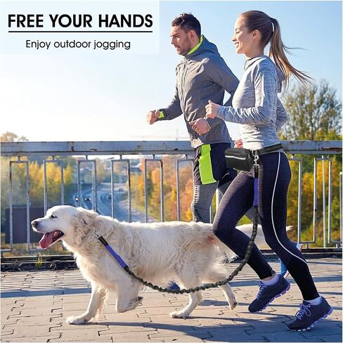 Hands Free Dog Leash with Waterproof Zipper Pouch for Running Walking Jogging Training Hiking Retractable Bungee Dog Running Waist Leash for Small Medium and Large Dogs Reflective Stitches in Saudi Arabia