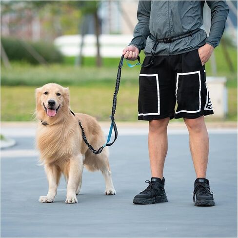 Hands Free Dog Leash with Waterproof Zipper Pouch for Running Walking Jogging Training Hiking Retractable Bungee Dog Running Waist Leash for Small Medium and Large Dogs Reflective Stitches in Saudi Arabia