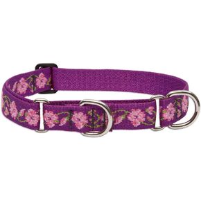 LupinePet Originals 1" Rose Garden 15-22" Martingale Collar for Medium and Larger Dogs
