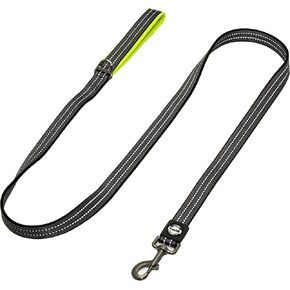 Franklin Pet Supply Nylon Dog Leash – Reflective – Comfort Fit – Neoprene Handle – 6 Foot – Dog Training – Walking – Black
