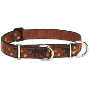 LupinePet Originals 1" Shadow Hunter 19-27" Martingale Collar for Large Dogs