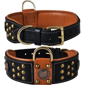 Genuine Leather ‘Cupola’ Series White Dog Collar | Rhinestone | Soft, Cushion Padding, Handmade | Best for Medium, Large, XL Breeds (M (Neck Size 14.5"-18.5"), White, Antique Copper Conchos)