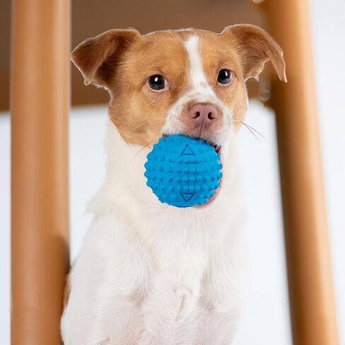 Best Pet Supplies Squeaky Rubber Dog Ball Toy, Ideal Dog Toys for Chewers, Small, Medium & Large Dogs, and Fetch Lovers Pack of 2 (Blue, Orange), Medium 2.5" in Saudi Arabia
