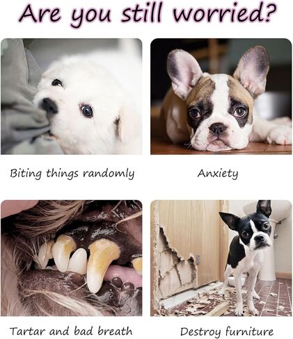 لطيف مضحك الوردي صار الكلب اللعب لكأس ستانلي، بهلوان لينة مع مقبض كأس الكلب اللعب القطيفة، تصميم السلامة الكلب اللعب لتدريب الكلاب الصغيرة / المتوسطة / الكبيرة ومرافقة in Kuwait