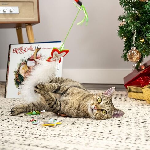 مجموعة ألعاب دوجي بارتون دعابة وشعر للقطط مكونة من 5 قطع، باللون الأحمر in Kuwait