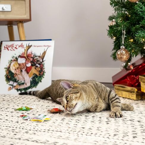 مجموعة ألعاب دوجي بارتون دعابة وشعر للقطط مكونة من 5 قطع، باللون الأحمر in Kuwait