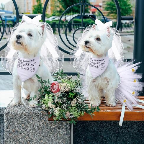 3 Packs Dog Bride Costume, Veil with Clip, Dog Bandana and Dog Skirt, Soft Comfortable Dog Wedding Party Dress Bride Pet Apparel for Pet Medium in Saudi Arabia