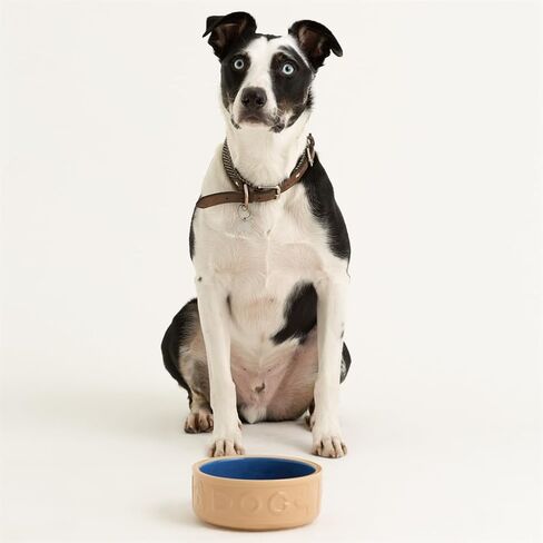 Mason Cash Cane & Blue Lettered Stoneware Dog Bowl, 18 cm in Saudi Arabia