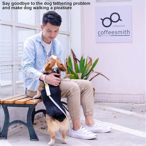 5.25ft Hands Free Dog Leash-Strong & Durable Walking Leash for Small Medium Dogs or Small Animals Under 66 lbs,Upgraded Lock System,Non Slip Grip,Tangle Free,Reflective,Thick Heavy Duty Nylon(White) in Saudi Arabia